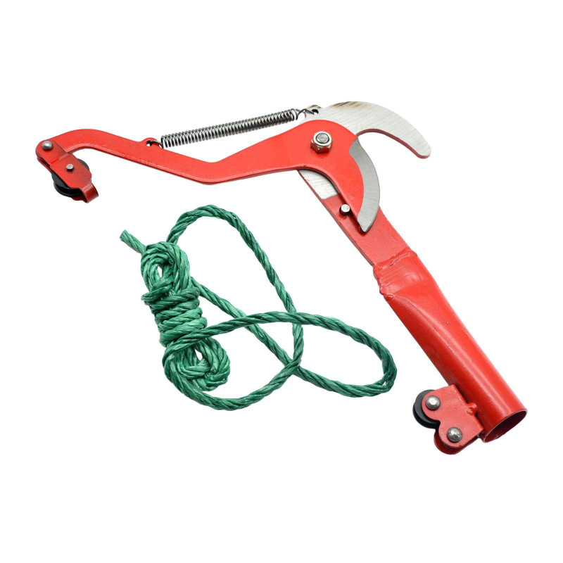Red Double-Wheel High Branch