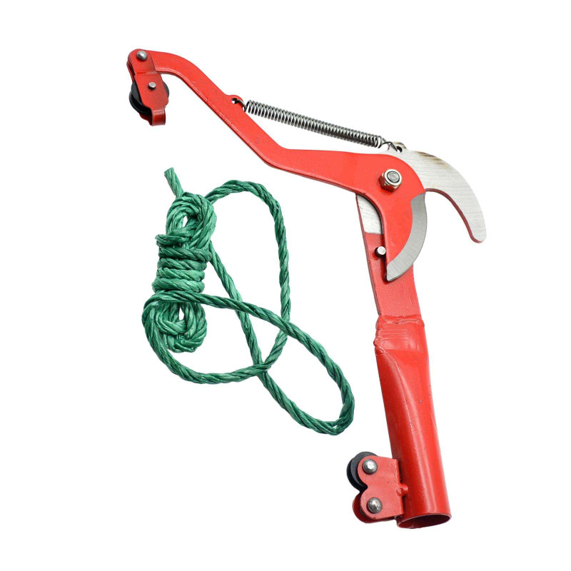 Red Double-Wheel High Branch