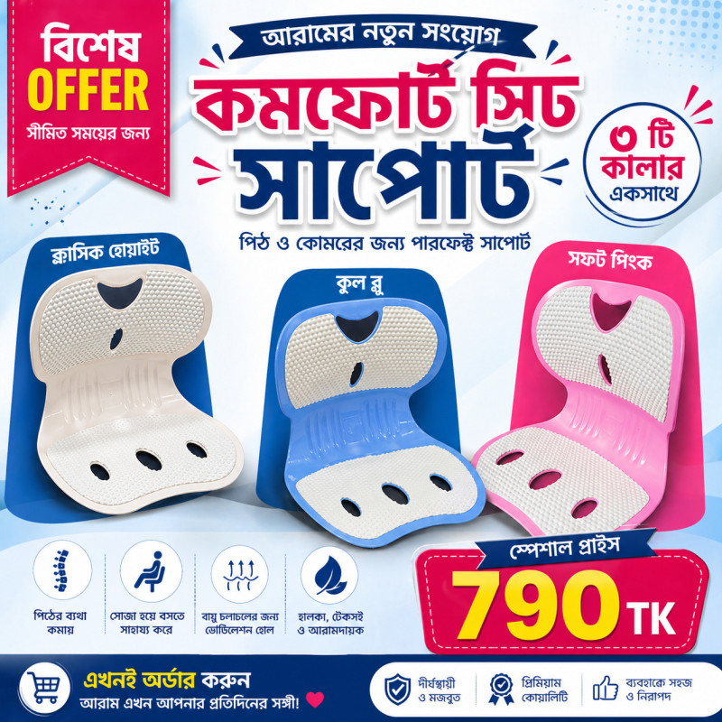 Support Cushion Lower Back Pad (ফ্রি ডেলিভারি)